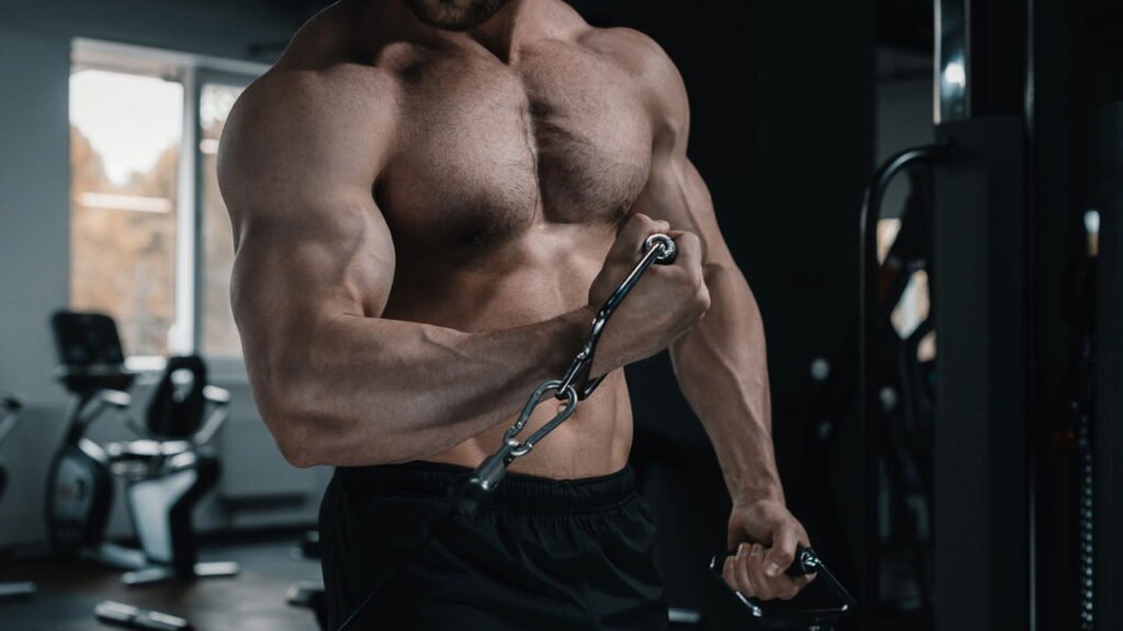 Como aumentar a testosterona no corpo e melhorar saúde e energia