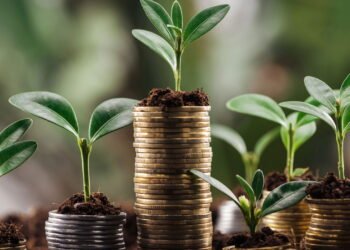 Começar a investir cedo pode ser o maior trunfo da sua vida financeira