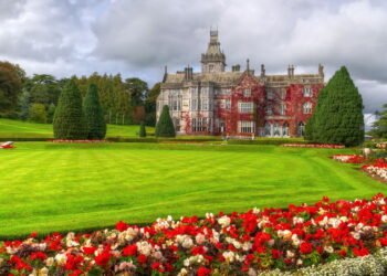 O país que está mudando a vida dos brasileiros que buscam recomeçar