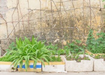 Você tem potes de isopor em casa? Veja o que fazer com eles