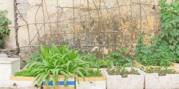 Vegetais - Créditos: depositphotos.com / trongnguyen