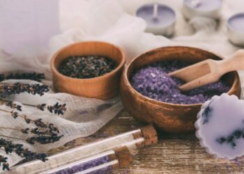 Veja como cultivar plantas aromáticas para espantar baratas de casa