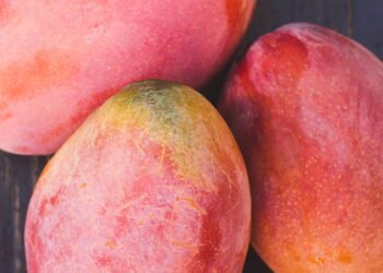 Manga faz mal? Veja benefícios e mitos da fruta