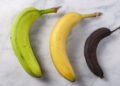 O que muda no seu corpo quando você come banana verde ou madura