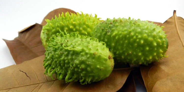 Maxixe - Créditos: depositphotos.com / micsmt