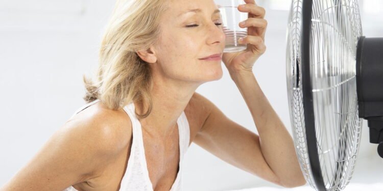 Menopausa não precisa ser difícil: alimentos essenciais para aliviar os sintomas - Créditos: depositphotos.com / imagepointfr