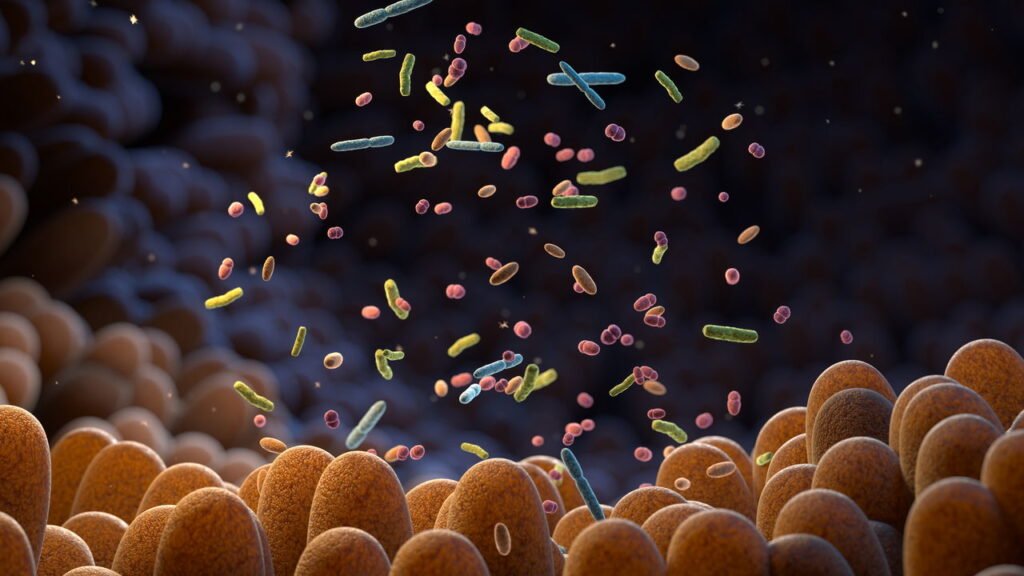 Esses alimentos podem salvar o seu intestino e melhorar sua qualidade de vida!