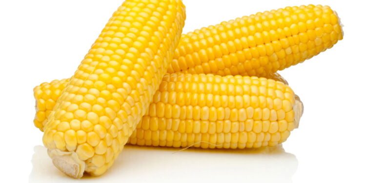 Milho - Créditos: depositphotos.com / Hyrman