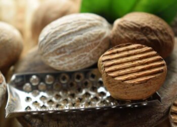 Cultive noz-moscada no jardim ou vaso e tenha aroma sempre fresco