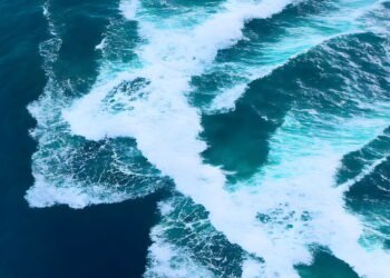 Mistério marinho de 40 anos é finalmente resolvido pelos cientistas