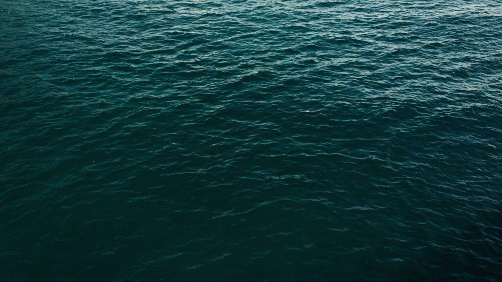 Mistério marinho de 40 anos é finalmente resolvido pelos cientistas