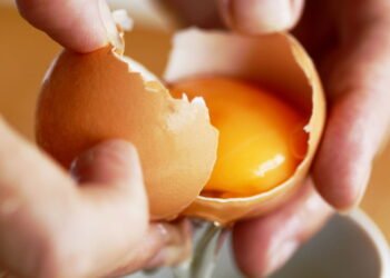 O que significa a mancha ou fio branco que aparece dentro do ovo