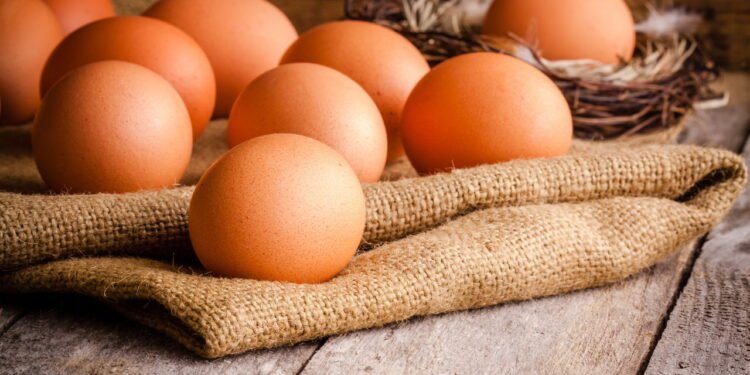 Revelada a quantidade de ovo que você deve comer por dia