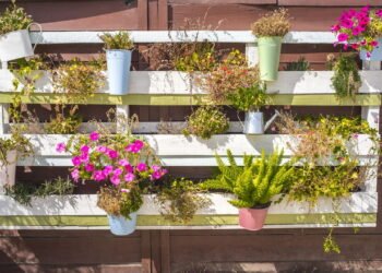 Veja como usar paletes para criar ambientes rústicos e modernos