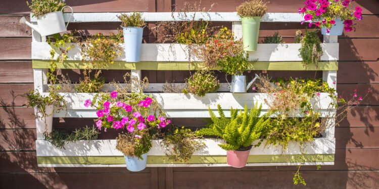 Veja como usar paletes para criar ambientes rústicos e modernos