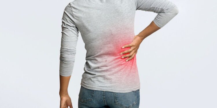 Saúde dos Rins - Créditos: depositphotos.com / Milkos