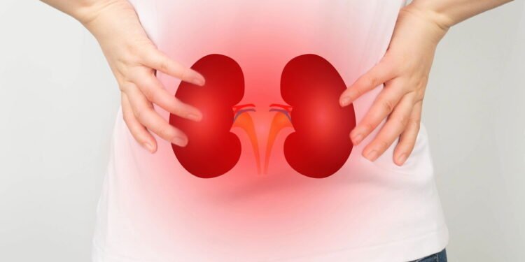 Pedras nos rins - Créditos: depositphotos.com / aom.am.op@gmail.com