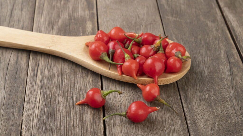 Como cultivar pimenta biquinho sem agrotóxicos em casa