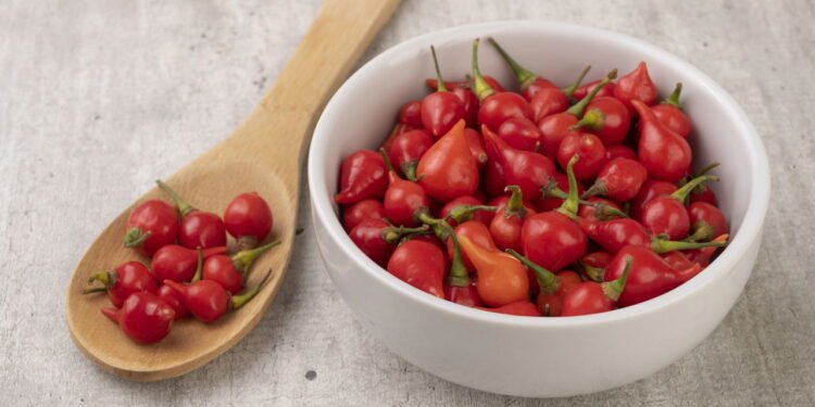 Como cultivar pimenta biquinho sem agrotóxicos em casa