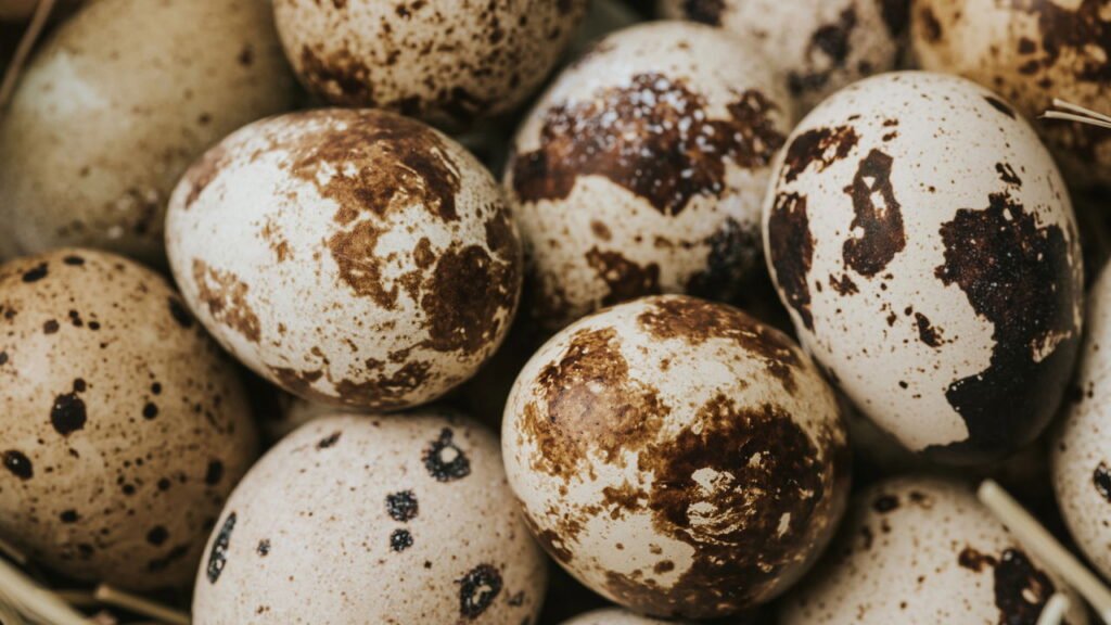 Esse lanche comum tem mais proteína que um ovo e quase ninguém sabe