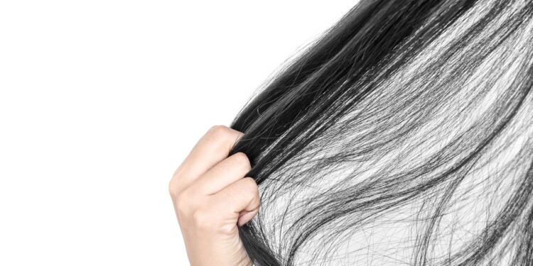 Cientistas descobrem motivo da queda de cabelo e como evitar