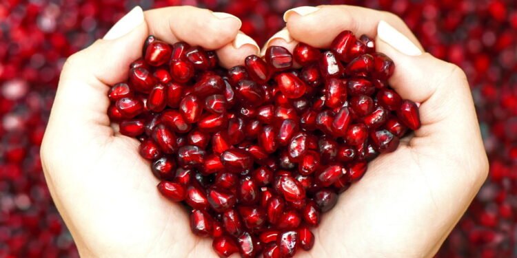 descoberta a fruta mais fácil de cultivar que previne doenças graves - Créditos: depositphotos.com / olgamanukyan