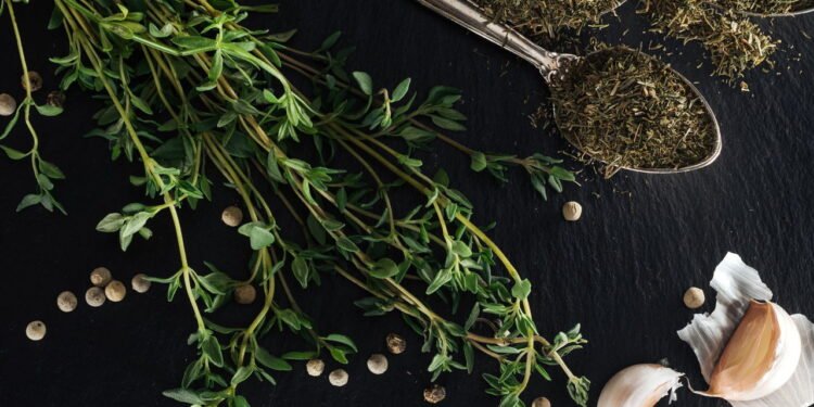 Tomilho - Créditos: depositphotos.com / VadimVasenin