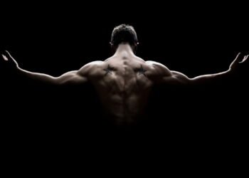 Os 5 melhores exercícios para costas definidas