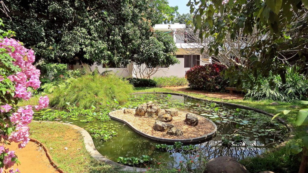 Essa cidade é o maior exemplo de comunidade sustentável do mundo