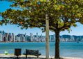 Beleza e luxo fazem da Dubai Brasileira um destino único