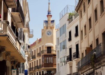 Levar o cão no elevador pode custar até 30 mil euros nesta cidade da Espanha