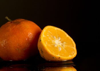 Você vai se apaixonar pelo aroma e sabor do limão bergamota, plante em casa!