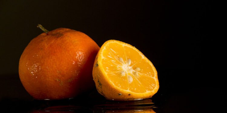 Você vai se apaixonar pelo aroma e sabor do limão bergamota, plante em casa!