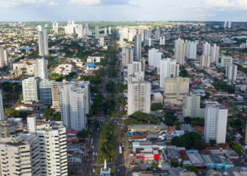 A “Árvore do Mundo” é brasileira e está conquistando quem busca qualidade de vida sem abrir mão de áreas verdes
