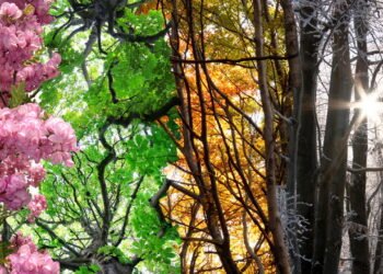 O que sua estação favorita revela sobre você segundo a ciência