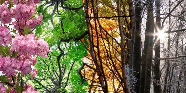 O que sua estação favorita revela sobre você segundo a ciência