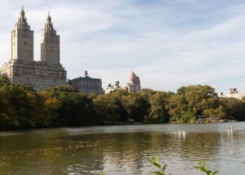 Top 5 cidades dos EUA com gastronomia de todos os cantos do mundo