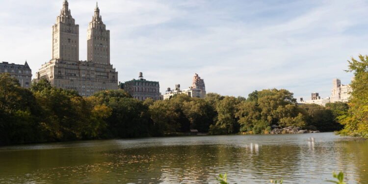 Top 5 cidades dos EUA com gastronomia de todos os cantos do mundo