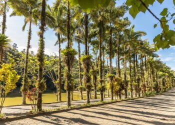 Essa cidade de Santa Catarina que está sendo apontada como uma das melhores do país