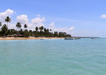 O novo queridinho do litoral nordestino está mais incrível do que nunca