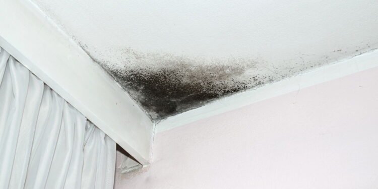 Cansado de infiltrações? Aprenda como vedar pequenas goteiras com um método fácil e seguro usando produtos que você tem em casa.