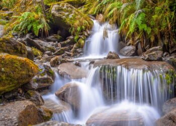 Fenômeno natural forma espuma impressionante no Rio Uruguai