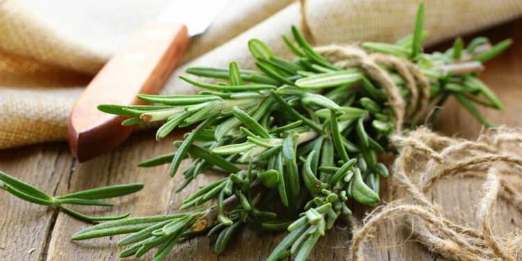 7 usos do alecrim que vão além da cozinha e ninguém te contou