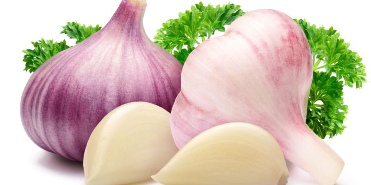 Alho - Créditos: depositphotos.com / maxsol7