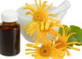 É seguro usar Arnica? Veja o que diz a medicina