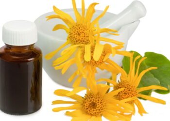 É seguro usar Arnica? Veja o que diz a medicina