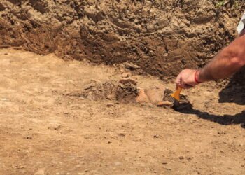 Fóssil de 190 milhões de anos revela segredo surpreendente da evolução