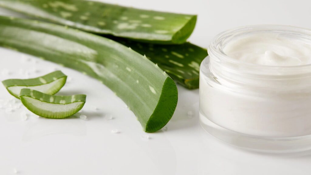 Cultivar babosa virou tendência e tem um motivo especial por trás