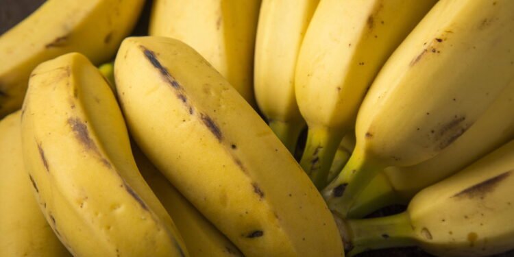 Você está guardando bananas do jeito errado e nem sabia