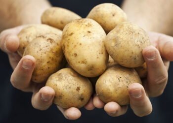 O melhor truque para conservar batatas frescas por muito mais tempo